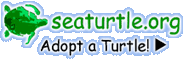 Click here to Adopt a Turtle!