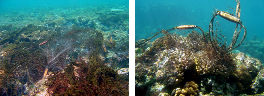 image of leftover fishing gear at the bottom of the ocean