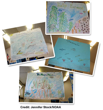 photos of students' artwork for an ACES activity involving different marine ecosystems