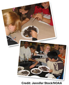 photos of students analyzing marine samples in classroom
