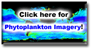 Click here for Phytoplankton Imagery!