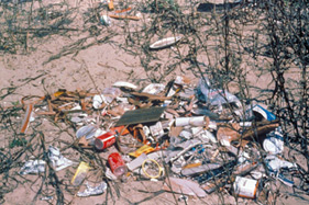 photo of marine debris