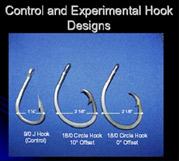 image of hooks