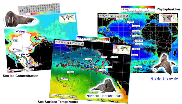 screenshots from ACES web resources