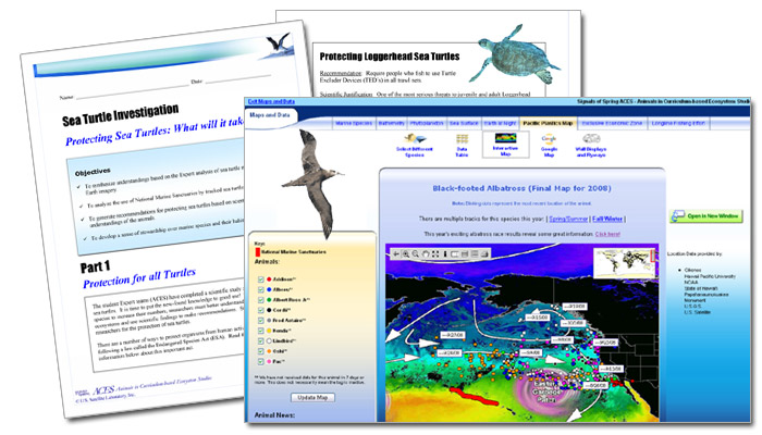 Eastern garbage patch with albatross tracks on it, screenshot of sea turtle investigation