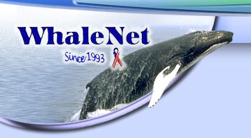 Whalenet - Since 1993