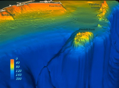 shaded relief of Cordell Bank