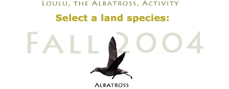 Select a species here.