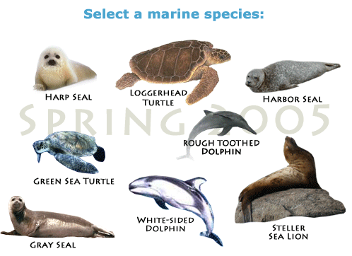Select a species here.