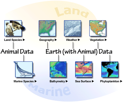 Maps and Data Links