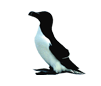 Click here for Razorbill.