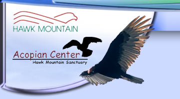 Hawk Mountain