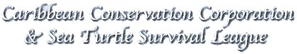 Caribbean Conservation Corporation & Sea Turtle Survival League