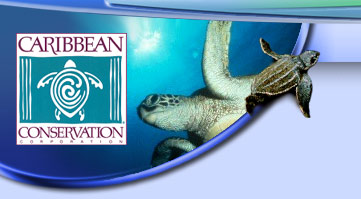 Caribbean Conservation Corporation