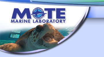 MOTE Marine Laboratory
