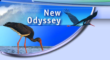 New Odyssey Project