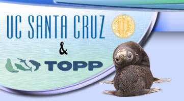 US Santa Cruz & TOPP