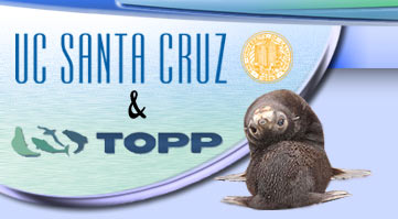 US Santa Cruz & TOPP