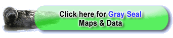Click here for Gray Seal Maps and Data.